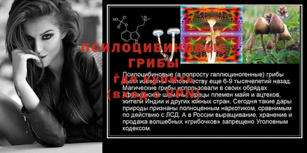 круглые Алзамай