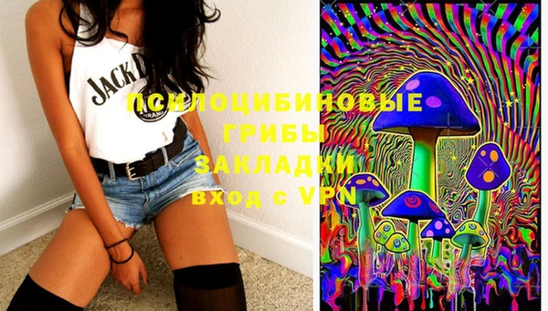 круглые Алзамай