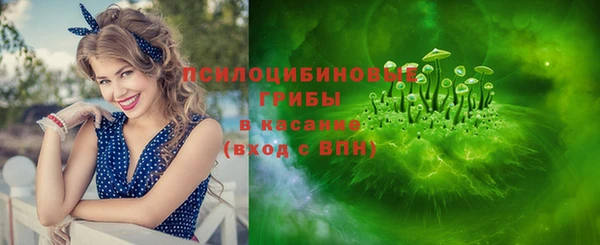 круглые Алзамай
