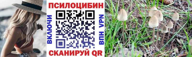 Галлюциногенные грибы прущие грибы  наркота  Талица 